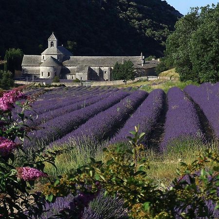 La Calvinette Villa Pernes-les-Fontaines Exteriör bild