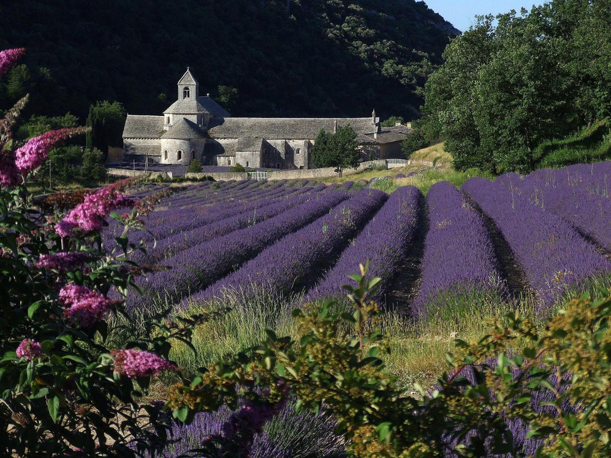 La Calvinette Villa Pernes-les-Fontaines Exteriör bild